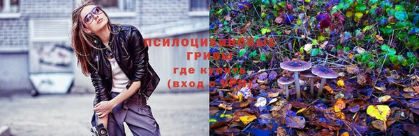 молекула духа Липки