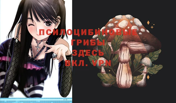 молекула духа Липки