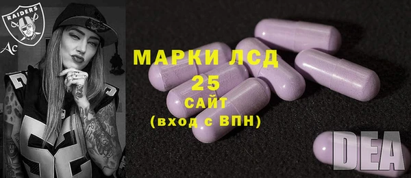молекула духа Липки