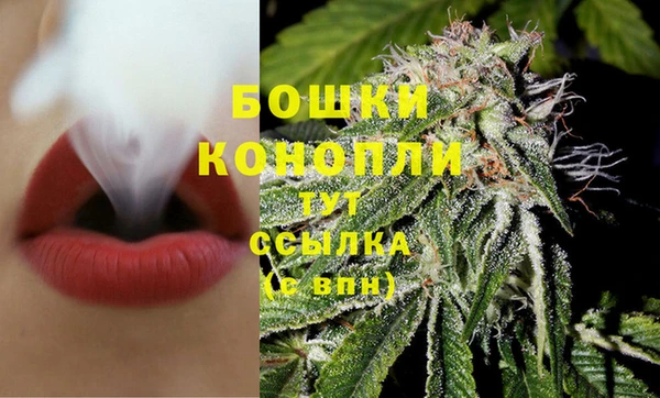 молекула духа Лиски